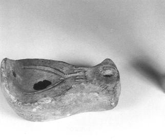 lucerna a testa d´uccello